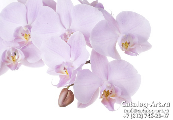 картинки для фотопечати на потолках, идеи, фото, образцы - Потолки с фотопечатью - Розовые орхидеи 52